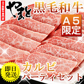 【黒毛和牛A5】カルビパーティーセット