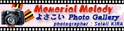 よさこい Photo Gallery ~ Memorial Melody ~