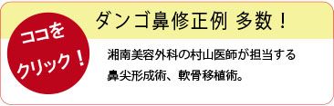鼻3-2
