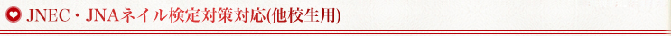 JNEC・JNAネイル検定対策対応(他校生用)