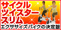 エアロバイク 通販