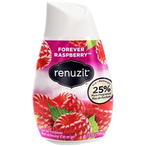 リナジット エアーフレッシュナー (ラズベリー) 212g 【12セット】