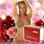 モデリート セラビュー