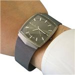 SKAGEN チタニウムメンズウォッチ