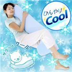 お得なＥｃｏ＆Ｃｏｏｌ（エコアンドクール）３点セット