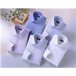 センツァクラバッタシャツ5枚組 M 50178-M