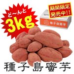 夢百笑 種子島蜜芋 3Kg 【安納芋（あんのういも）】