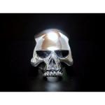 Diceキースリングはこれだ！スカルDシルバーリング