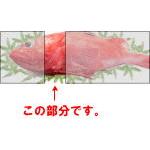 キンキカマ