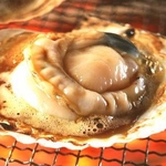 陸奥湾産 朝揚げホタテ 3kg(20枚前後)