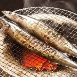 特大トロ秋刀魚 4kg(18本~24本)