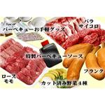 ばんざいシリーズ　松阪牛お手軽バーベキューセットＤＸ　ＳＰ（18-20人前）