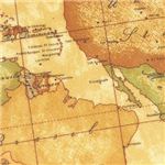 PrimaClasse（プリマクラッセ） カードケース GEO CLASSIC CW303 10