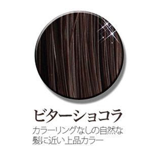 Queen bee(クイーンビー) ヘアーウィッグ W3005/ビターショコラ