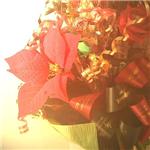 CANDY BOUQUET　オリジナル　クリスマスツリー