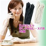 日よけにも☆おしゃれなレース手袋 2色組