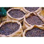 DIAMANTINA　－CITY ROAST－　【２個セット】