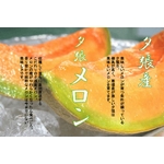 共選夕張メロン（品質【良】）1.3ｋｇサイズ３玉（中）