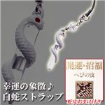 幸運の象徴♪白蛇ストラップ　蛇皮おまけ付き