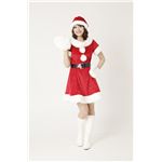 【2010年クリスマス向け】キャンディサンタ Ladies