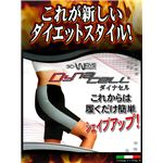 ダイナセル 3L