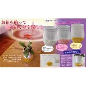 運開運パワー給水ポット 3個セット（パワーストーン3種付き）