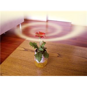 運開運パワー給水ポット 3個セット（パワーストーン3種付き）