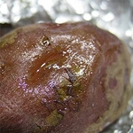 【訳あり特価】蜜がじゅわっ！ねっとり甘～い♪種子島 蜜芋 5kg