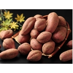 【訳あり特価】蜜がじゅわっ！ねっとり甘～い♪種子島 蜜芋 5kg