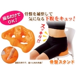 骨盤スタンド