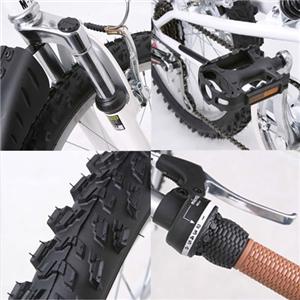 MY PALLAS(マイパラス)M-10 折り畳み自転車 20インチ6段変速ダブルサス ブラック