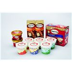 ハーゲンダッツ＆ブランブリュンアイスCセット HB-50Ｃ