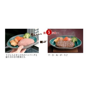 電子レンジ調理器 ふしぎなお皿（レシピ本付き）　【4枚セット】