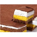 特大!!南瓜ティラミスケーキ