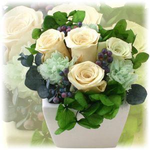 【母の日ギフト！4月28日まで限定】プリザーブドフラワー ミントローズ