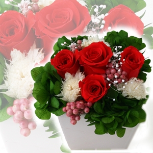 【母の日ギフト！4月28日まで限定】プリザーブドフラワー レッドローズ