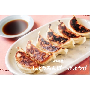 しおの屋しょうろんぽーぎょうざ　60個