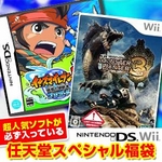 任天堂スペシャル福袋 Wii モンハントライ + DS イナズマイレブン2 ～脅威の侵略者～ ブリザード + 人気ソフト3本