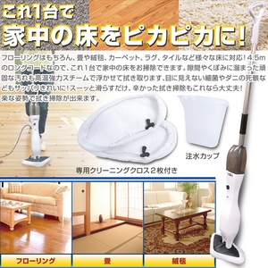 スチームワイパー