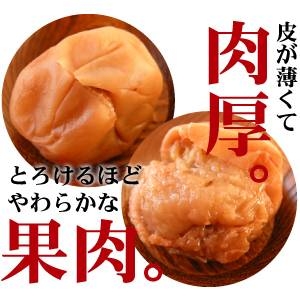 【訳あり】梅の王様☆最高級「紀州南高梅」しそ味4kg