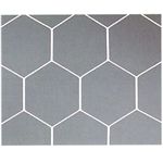 ASICS(アシックス) 亀甲サッカーゴールネットエコタイプ エコホワイト 51250E