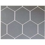 ASICS(アシックス) 亀甲少年用サッカーゴールネットエコタイプ エコホワイト 52250E