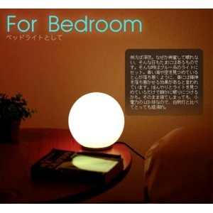 PRISMATE(プリズメイト) LEDイルミネーションライト ひかり Plus 15cm BIG-09