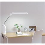 TWINBIRD（ツインバード） アーム型タッチインバータ蛍光灯 LK-H461W ホワイト