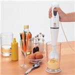 TWINBIRD(ツインバード) チョッパー付ハンディーブレンダー KC-4817W ホワイト