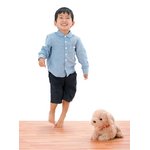 ワンちゃんとはじめよう！おしゃべりせんせい　レトリバー