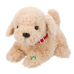 ワンちゃんとはじめよう！おしゃべりせんせい　レトリバー