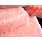 【のし付き(名入れ不可) お歳暮対応】貴重な本マグロの全てを一度に味わえる!大トロ、中トロ、赤身が全部入福袋!MO-11_850084137