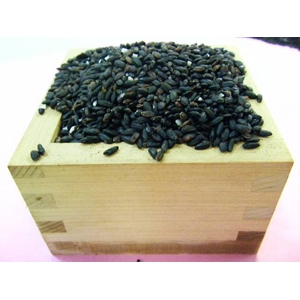 青森産古代米・減農薬無化学肥料 紫黒米(モチ)