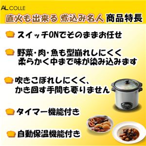 AL COLLE（アルコレ） 　スロークッカー・タイマー付煮込み名人(直火対応!) ASC-T25